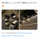 articleImage3771650