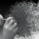 articleImage4061122