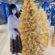 articleImage4085765
