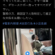 articleImage4172293