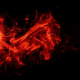 articleImage4311054