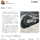 articleImage5398387