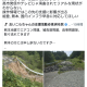 articleImage5431786