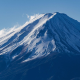 articleImage5436602
